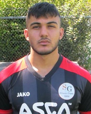 Saad Qaeidi