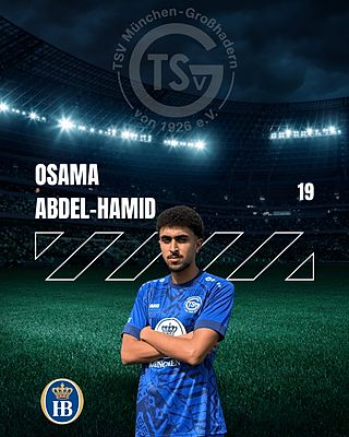 Osama Abdel-Hamid