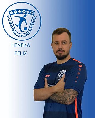 Felix Heneka