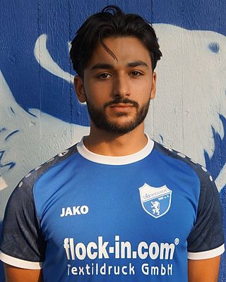 Tolga Savas