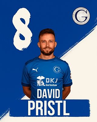 David Pristl