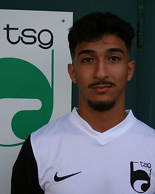 Ali Reza Schaydaie