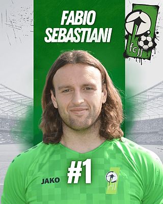 Fabio Sebastiani de Oliveira