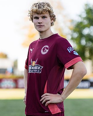 Jelke Willem Elferink