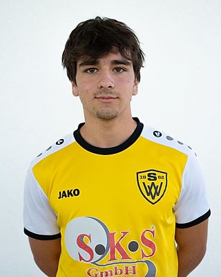Nils Pallarès Basullas