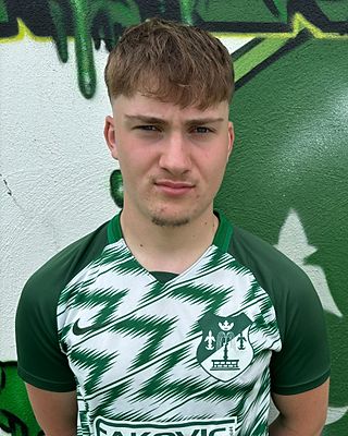 Salvador Daniel Gomes Da Costa Ribeiro