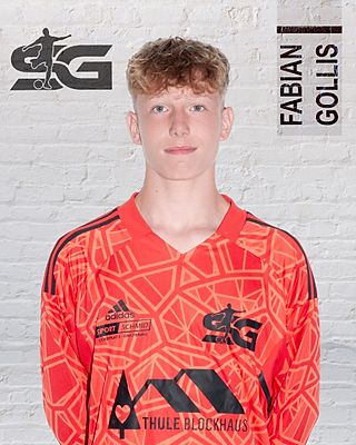 Fabian Gollis