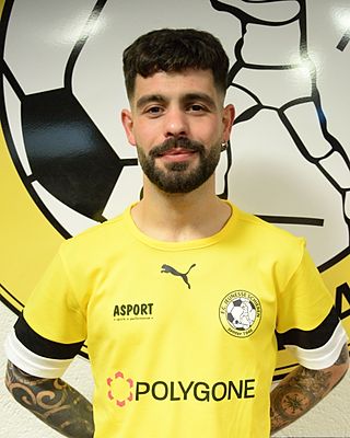 José Luis Gonçalves Araújo