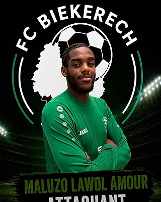 Amour Emanuel MALUZO LAWOL
