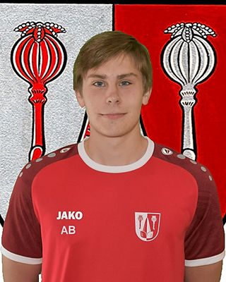 Andreas Bauer