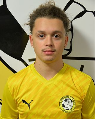 Miguel Ramos Domingues