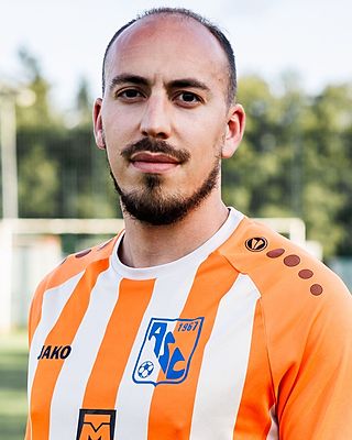 Michel ALVES DIAS