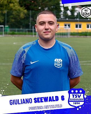 Giuliano Seewald