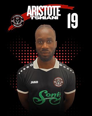 Aristote Tshiani
