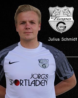 Julius Schmidt
