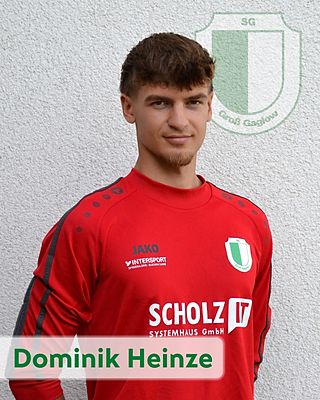 Dominik Heinze