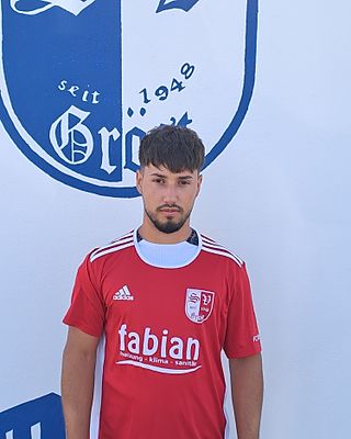 Florian-Alin Ionescu