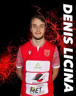 Denis Licina