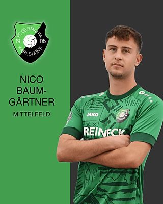 Nico Baumgärtner