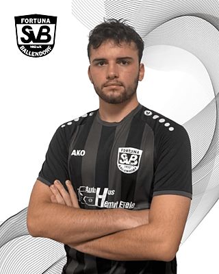 Sebastian Heinrich