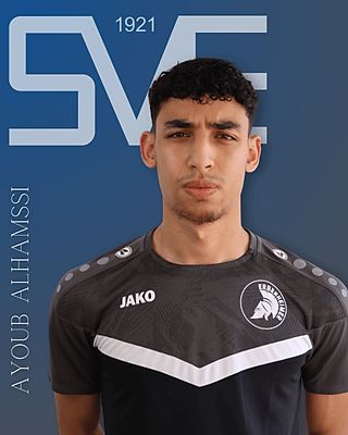 Ayoub Alhamssi