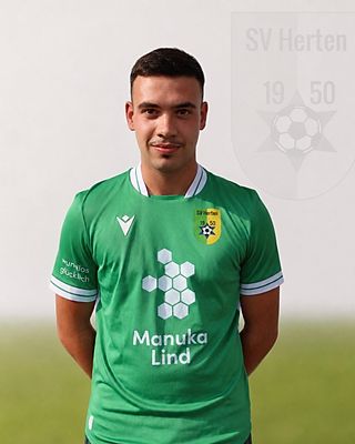 Louis Andlauer