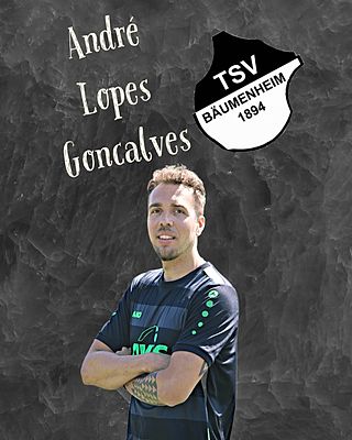 Andre Lopes Goncalves
