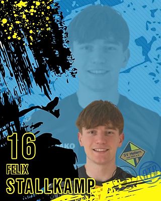 Felix Stallkamp