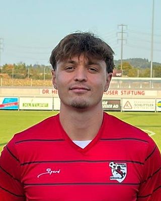 Fabian Inglin
