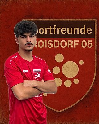 Ali Nashwan Mohie Aldin