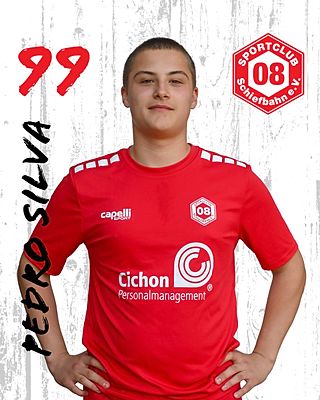 Pedro Silva