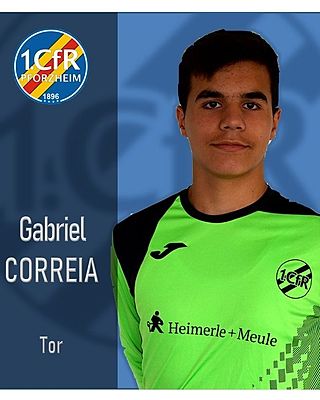 Gabriel Guilherme Correia