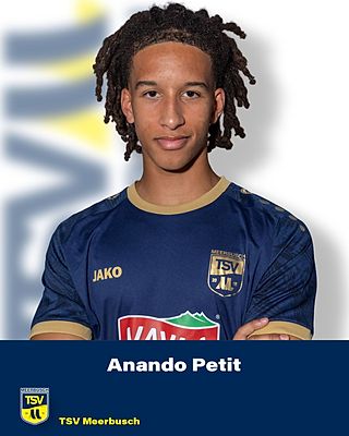 Anando Felix Petit