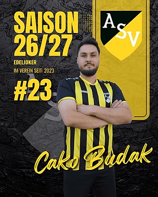 Cagdas Budak