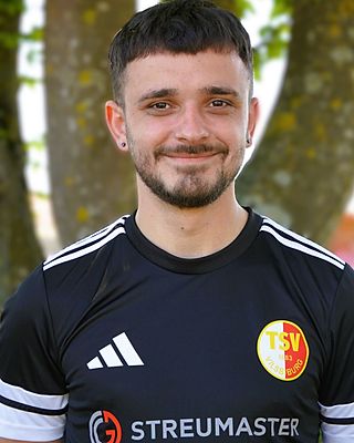 Mircea Trousil