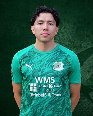 Andres Gerardo Gomez Dimas