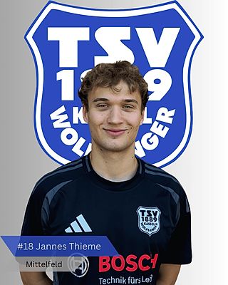 Jannes Sebastian Thieme