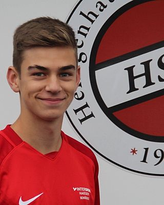 Roman Alexander Engels