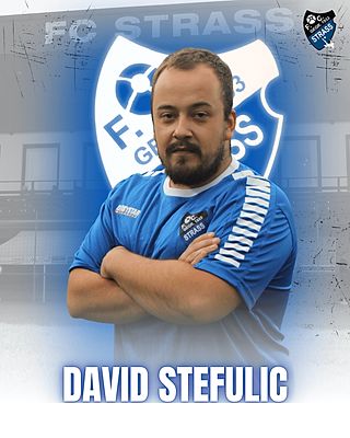 David Štefulić