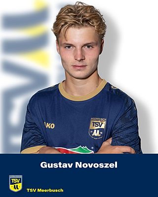 Gustav Johan Novoszel