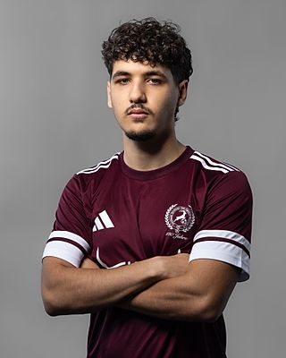 Hasan Celik