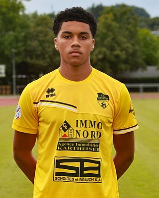 Liedson Da Cruz Ramos