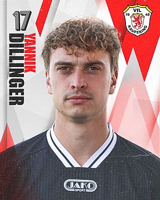 Yannik Dillinger