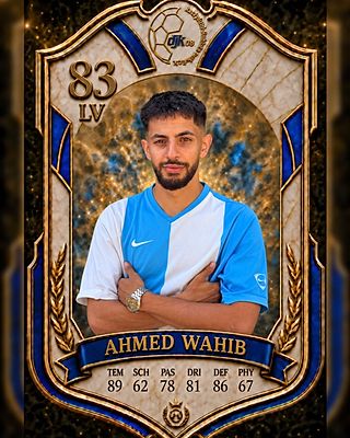 Ahmed Wahib Ben Ali