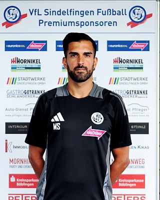 Luis Miguel De Jesus Rodrigues Loucao