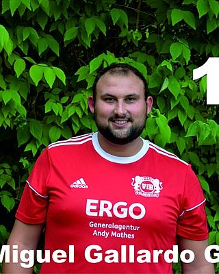 Luis Miguel Gallardo Gomez