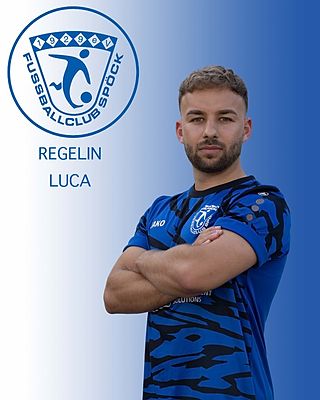 Luca Regelin