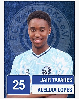 Jair Tavares Aleluia Lopes