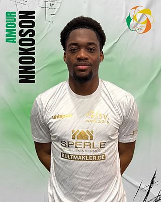 Amour Nnokoson