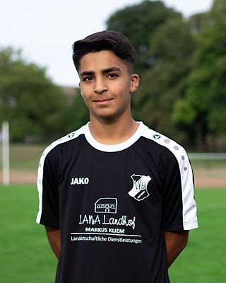 Mohammad Amir Hamidi